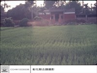 全景藏品圖，第1張