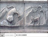 石虎特寫藏品圖，第1張