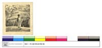(無圖名)藏品圖，第1張