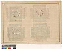 N/A藏品圖，第1張