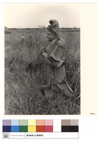 N/A藏品圖，第1張