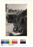 正殿左側中庭藏品圖，第1張