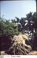 鳳凰(左)藏品圖，第1張