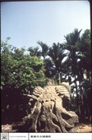 鳳凰(左)藏品圖，第1張