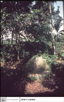 后土藏品圖，第1張