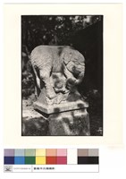象藏品圖，第1張