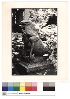 大公獅藏品圖，第1張