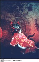 狗像藏品圖，第1張