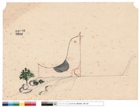 永恆的鳥藏品圖，第1張