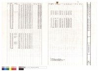 幹管部份流量分析表藏品圖，第1張