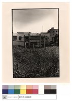 石牆藏品圖，第1張