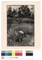 石刻藏品圖，第1張