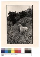 石刻藏品圖，第1張