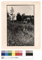 石刻藏品圖，第1張