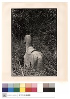 石刻藏品圖，第1張