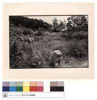 石刻藏品圖，第1張