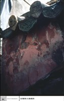牆藏品圖，第1張
