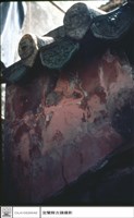 牆藏品圖，第1張