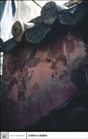牆藏品圖，第1張
