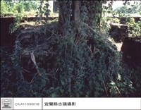 砲位中之牆藏品圖，第1張
