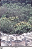 屋頂特寫藏品圖，第1張