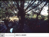 炮位及港口藏品圖，第1張