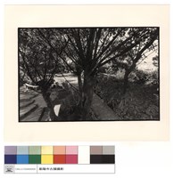 炮位及港口藏品圖，第1張