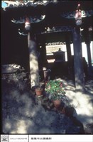 左面牆藏品圖，第1張
