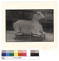 N/A藏品圖，第1張