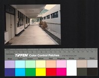 廊道藏品圖，第1張