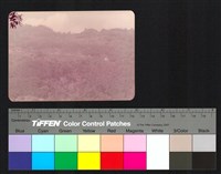 山、林道藏品圖，第1張