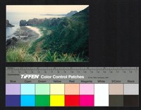 海岸藏品圖，第1張
