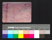 環境模藏品圖，第1張