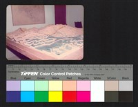 環境模藏品圖，第1張