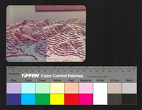 環境模藏品圖，第1張