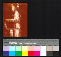 夜景藏品圖，第1張