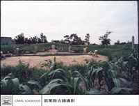 全景藏品圖，第1張