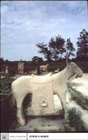 石馬藏品圖，第1張