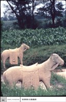 石馬藏品圖，第1張