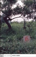 后土藏品圖，第1張