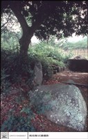 右側觀藏品圖，第1張