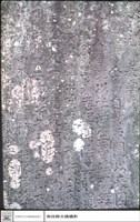 文字特寫藏品圖，第1張