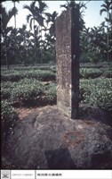 全景藏品圖，第1張