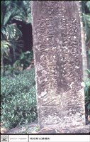 全景藏品圖，第1張