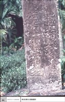 全景藏品圖，第1張