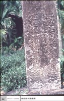 全景藏品圖，第1張