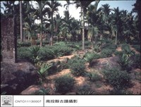 全景藏品圖，第1張
