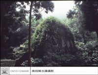 全景藏品圖，第1張
