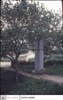 全景藏品圖，第1張
