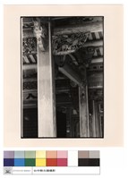 大廳左側雀提藏品圖，第1張
